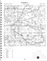 Code 16 - Maquoketa Township, Maquoketa, Jackson County 1980